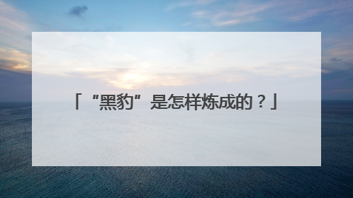 “黑豹”是怎样炼成的？
