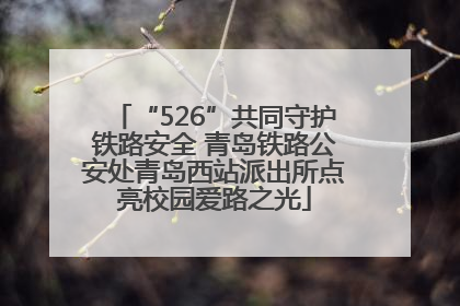 “526”共同守护铁路安全 青岛铁路公安处青岛西站派出所点亮校园爱路之光