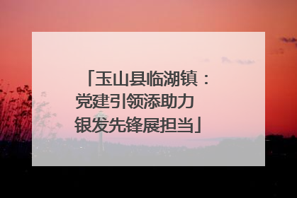 玉山县临湖镇：党建引领添助力 银发先锋展担当