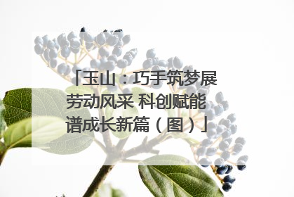 玉山：巧手筑梦展劳动风采 科创赋能谱成长新篇（图）