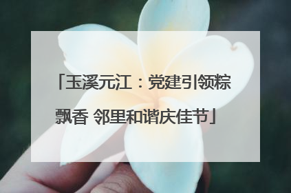 玉溪元江：党建引领粽飘香 邻里和谐庆佳节
