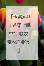 玉溪元江：芒果“爆单” 联农带农产业兴