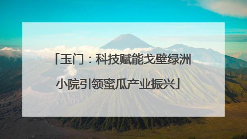 玉门：科技赋能戈壁绿洲 小院引领蜜瓜产业振兴