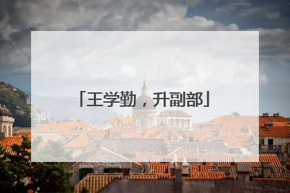 王学勤，升副部