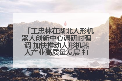 王忠林在湖北人形机器人创新中心调研时强调 加快推动人形机器人产业高质量发展 打造具有全国影响力的研发创新基地