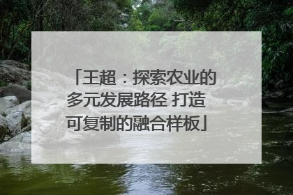 王超：探索农业的多元发展路径 打造可复制的融合样板