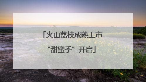 火山荔枝成熟上市 “甜蜜季”开启