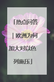 热点问答｜欧洲为何加大对以色列施压