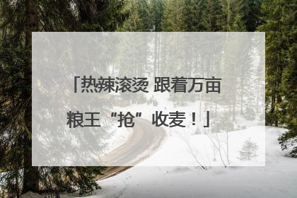 热辣滚烫 跟着万亩粮王“抢”收麦！