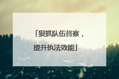 狠抓队伍督察，提升执法效能