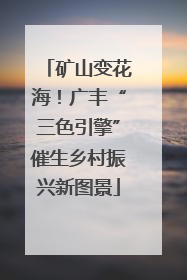 矿山变花海！广丰“三色引擎”催生乡村振兴新图景