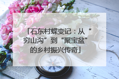 石东村蝶变记：从“穷山沟”到“聚宝盆”的乡村振兴传奇