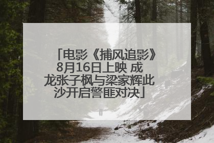 电影《捕风追影》8月16日上映 成龙张子枫与梁家辉此沙开启警匪对决