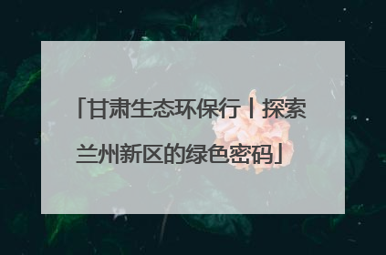 甘肃生态环保行丨探索兰州新区的绿色密码