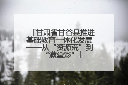 甘肃省甘谷县推进基础教育一体化发展——从“资源荒”到“满堂彩”