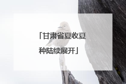 甘肃省夏收夏种陆续展开