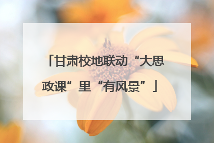 甘肃校地联动“大思政课”里“有风景”