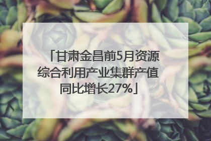 甘肃金昌前5月资源综合利用产业集群产值同比增长27%
