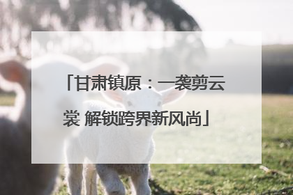甘肃镇原：一袭剪云裳 解锁跨界新风尚