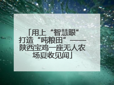用上“智慧眼” 打造“吨粮田”——陕西宝鸡一座无人农场夏收见闻