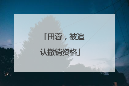 田蓉，被追认撤销资格