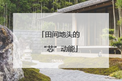 田间地头的“芯”动能
