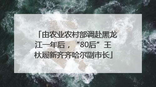 由农业农村部调赴黑龙江一年后，“80后”王杕履新齐齐哈尔副市长