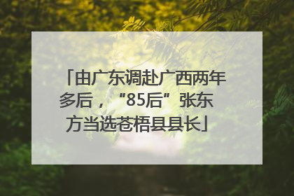 由广东调赴广西两年多后，“85后”张东方当选苍梧县县长