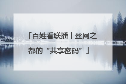百姓看联播丨丝网之都的“共享密码”