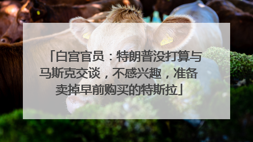 白宫官员：特朗普没打算与马斯克交谈，不感兴趣，准备卖掉早前购买的特斯拉