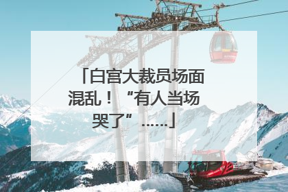 白宫大裁员场面混乱！“有人当场哭了”……