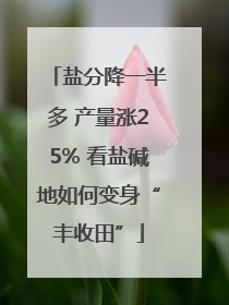 盐分降一半多 产量涨25% 看盐碱地如何变身“丰收田”