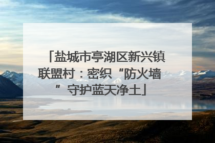 盐城市亭湖区新兴镇联盟村：密织“防火墙”守护蓝天净土