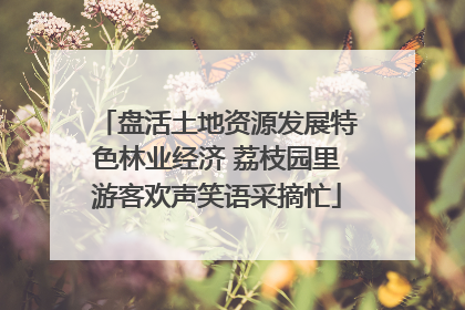 盘活土地资源发展特色林业经济 荔枝园里游客欢声笑语采摘忙
