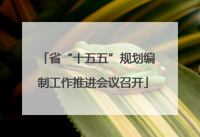 省“十五五”规划编制工作推进会议召开