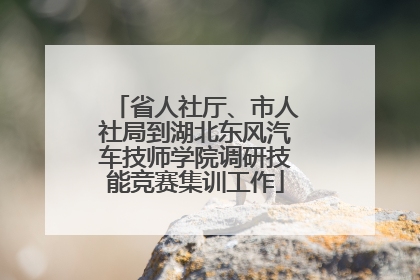省人社厅、市人社局到湖北东风汽车技师学院调研技能竞赛集训工作