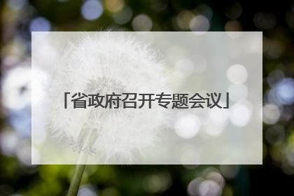 省政府召开专题会议