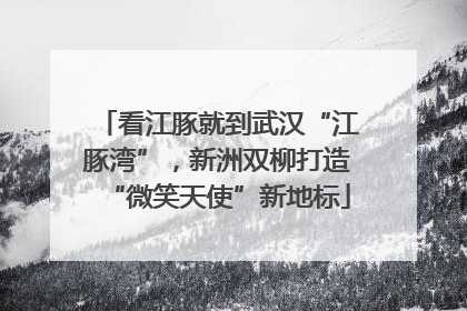 看江豚就到武汉“江豚湾”，新洲双柳打造“微笑天使”新地标