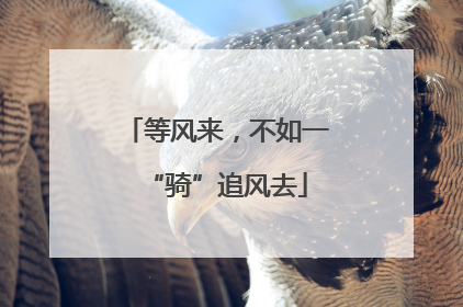 等风来，不如一“骑”追风去
