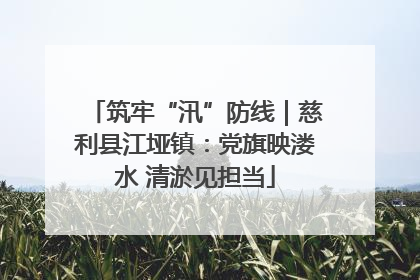 筑牢“汛”防线｜慈利县江垭镇：党旗映溇水 清淤见担当