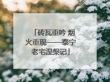 砖瓦重吟 烟火重现——泰宁老宅涅槃记