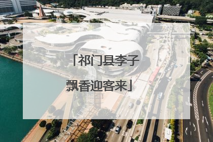 祁门县李子飘香迎客来