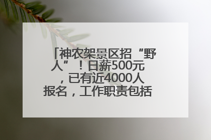 神农架景区招“野人”！日薪500元，已有近4000人报名，工作职责包括“接受游客投喂”