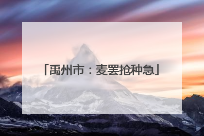 禹州市：麦罢抢种急
