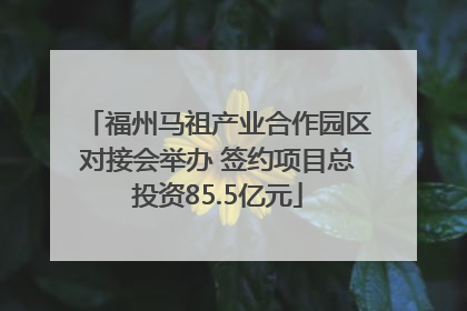 福州马祖产业合作园区对接会举办 签约项目总投资85.5亿元
