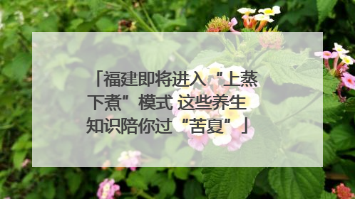 福建即将进入“上蒸下煮”模式 这些养生知识陪你过“苦夏”