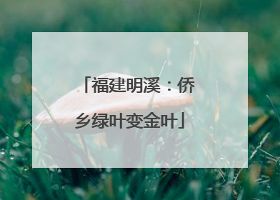 福建明溪：侨乡绿叶变金叶