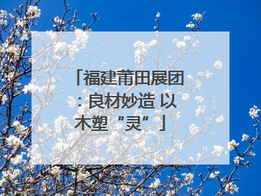 福建莆田展团：良材妙造 以木塑“灵”