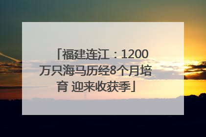 福建连江：1200万只海马历经8个月培育 迎来收获季