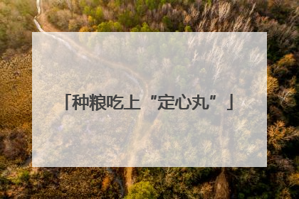 种粮吃上“定心丸”